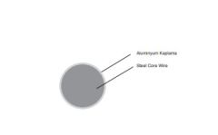 Aluminum Coated Steel Wire (ACS)