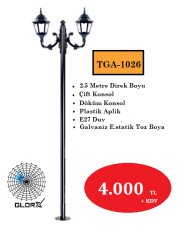 2,5 Metre Çift Konsol Park Bahçe Aydınlatma Direği E27 DUY TGA-1026