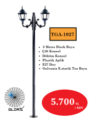 5 Metre Çift Konsol Park Bahçe Aydınlatma Direği TGA-1027