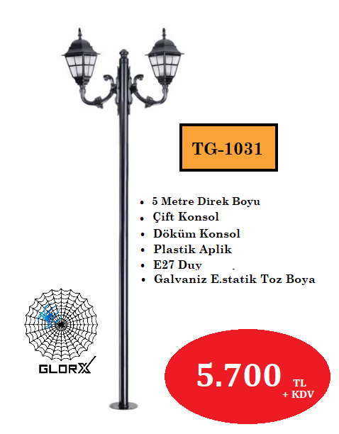 5 Metre Çift Konsol Park Bahçe Aydınlatma Direği TGA-1031