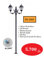 5 Metre Çift Konsol Park Bahçe Aydınlatma Direği TGA-1031