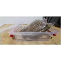 TERMOKAYNAK POTA MACUNU