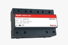 RayDin